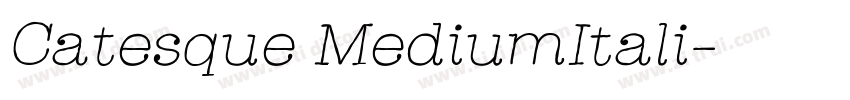 Catesque MediumItali字体转换 Catesque MediumItali字体转换